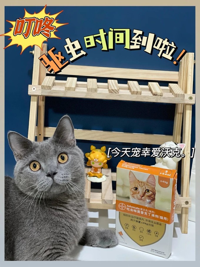 爱沃克猫咪驱虫