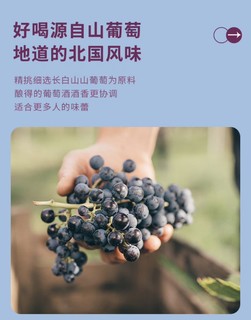 历史悠久的中国著名葡萄酒——通化葡萄酒