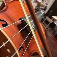 客居濠江畔 篇十六：四十不惑，培养点爱好，学习小提琴还来得及吗？