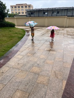 我也想要这把雨伞