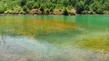 日常生活拍摄 篇十六：很神奇的湖水，下了几天雨，竟从蓝色变成了绿色