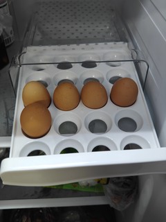 我给鸡蛋找了一个家！