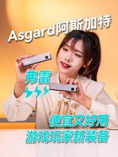 阿斯加特 Asgard 弗雷，游戏玩家新伙伴