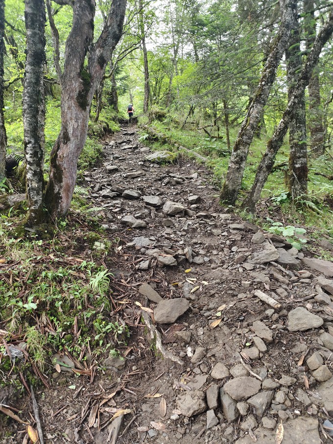 迪卡侬登山鞋