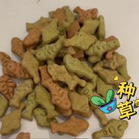 猫饼干在手，吐毛、洁牙都不是事