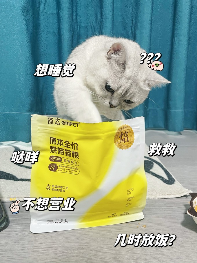 猫粮