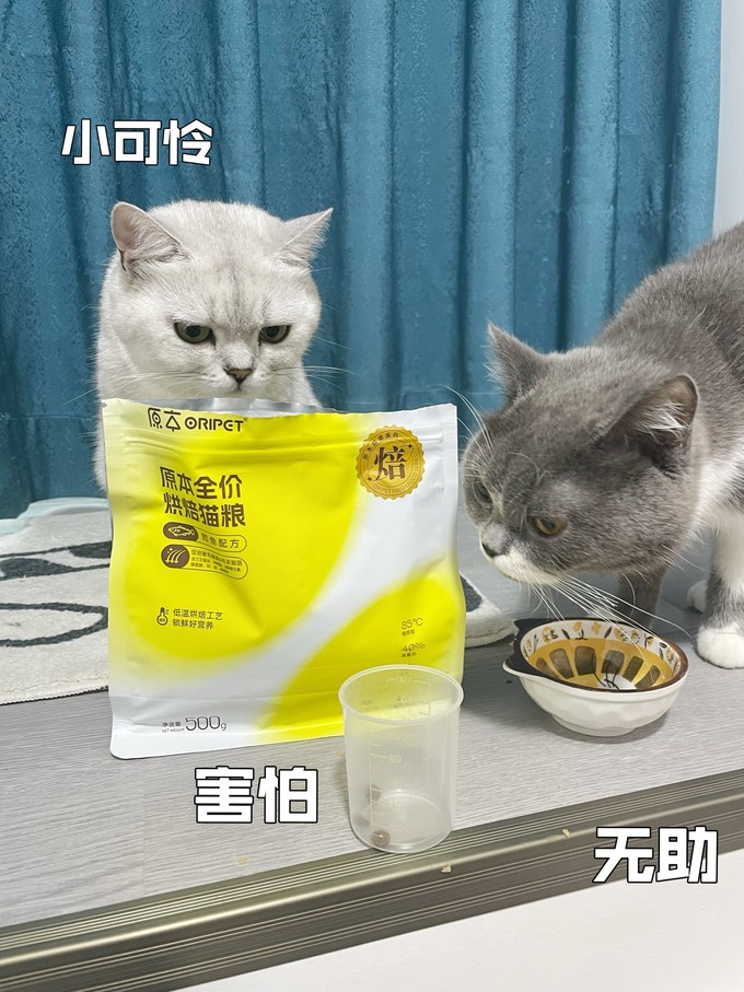 猫粮