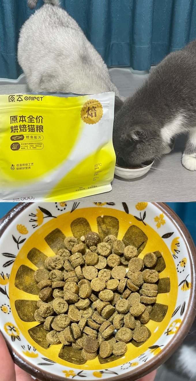 猫粮