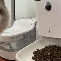 科技养宠|用1500块的碗喂猫，猫咪会更爱吃吗？