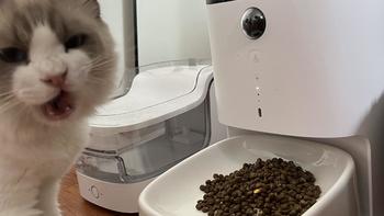 科技养宠|用1500块的碗喂猫，猫咪会更爱吃吗？
