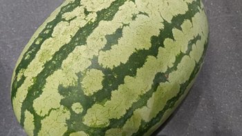 西瓜是夏天最受欢迎的水果之一。它饱满多汁的果肉，清爽的甜味~这夏天满足！