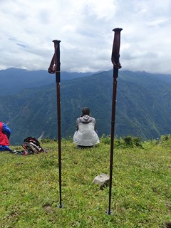 入门级登山杖