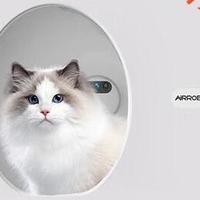 空气萝卜智能猫砂盆：智能处理猫咪上厕所问题，很给力!