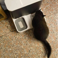 哈巴斯宠物自动喂食器：关爱宠物，让科技为爱宠生活添色