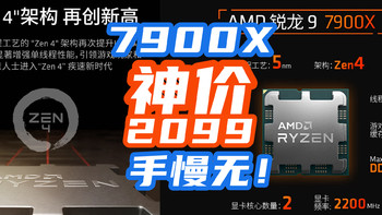 AMD突发降价：7900X 12核24线程跌倒2099！7700X只要1559！【AMD处理器指南+好价汇总】