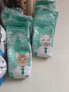 猫咪的健康食品