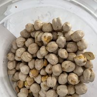 口味独特的鹰嘴豆