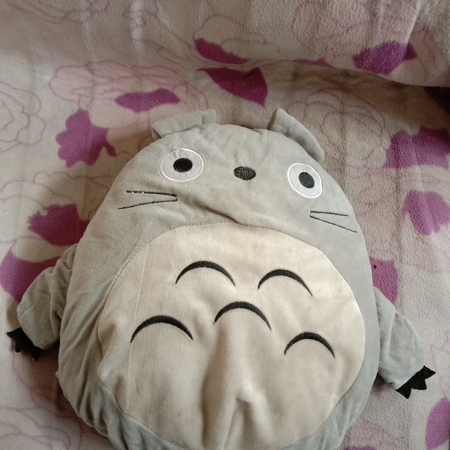 家里狗狗最喜欢的毛绒玩具，已经洗了很多次啦