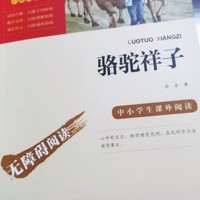 文学巨著《骆驼祥子》