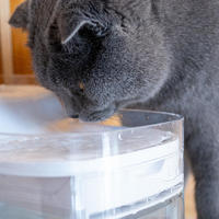 生活趣谈 篇十：猫咪的自助智能水吧，超大容量干净卫生，宠咕咕宠物智能饮水机体验