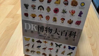 DK博物大百科送给孩子都礼物！