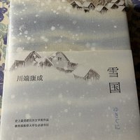 最近看完的一本书-雪国