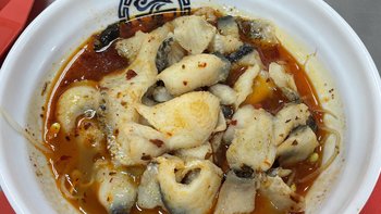 美食 篇四十六：四川经典美食，麻辣鲜香的水煮鱼