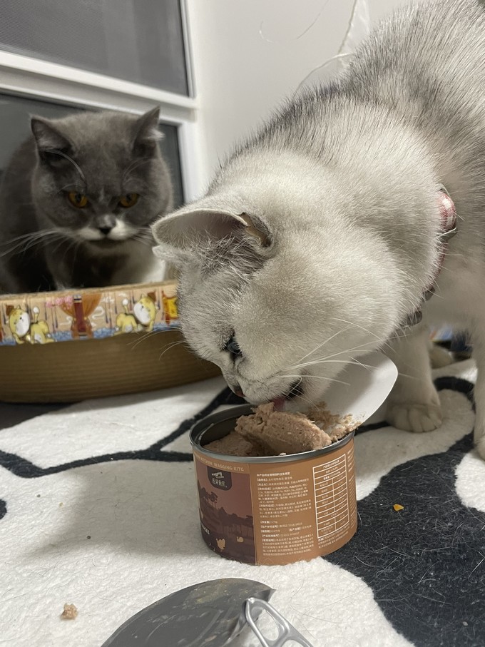 猫零食