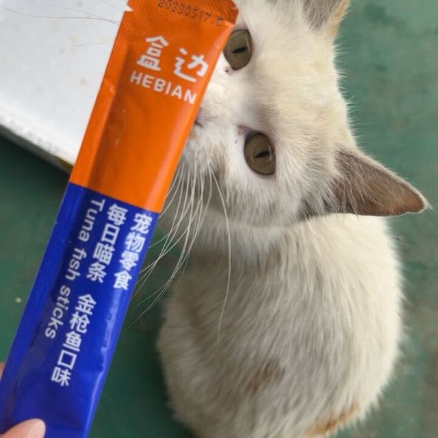 ​不仅好吃还能让猫咪开心的猫条