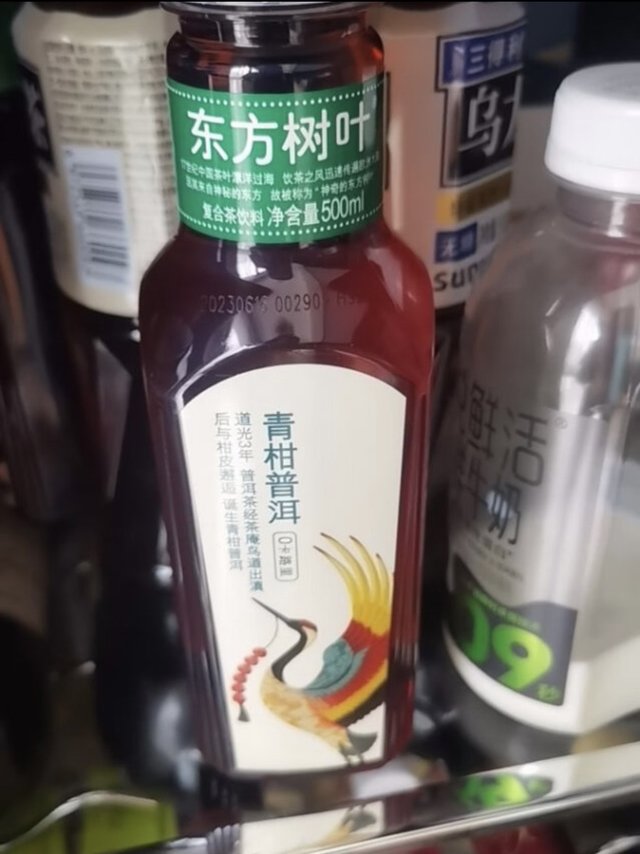 东方树叶之青柑普洱