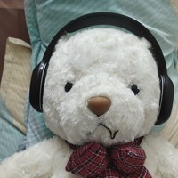 漫步者蓝牙耳机w800bt🎧