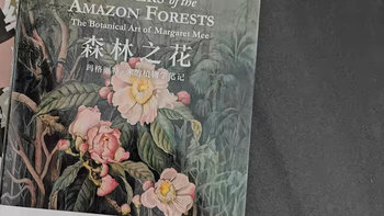 《森林之花》不仅故事精彩，插画也非常艺术。