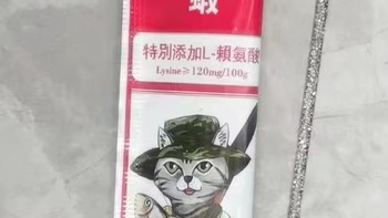 饲养猫咪的美味零食猫条