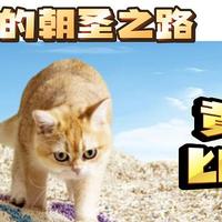 猫咪的朝圣之路——猫砂黄金比例