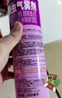 雷达(Raid) 杀虫剂喷雾 600ml 清香型 