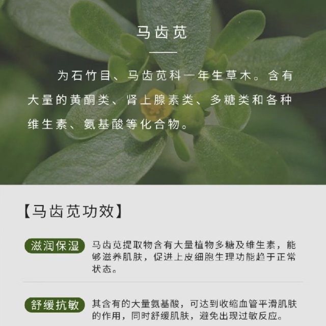 敏肌的“保护伞”马齿苋，学皮肤管理难不难