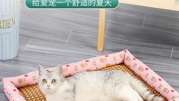 夏日清凉，猫咪久睡而不升温