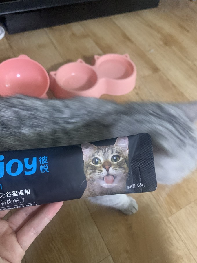 猫咪湿粮/罐头