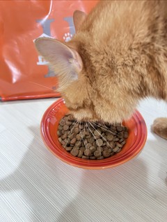 猫咪夏天不爱吃饭？快试试盒边这款烘焙粮！