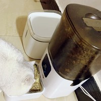 PAPIFEED猫咪自动喂食器宠物智能定时定量猫粮狗粮