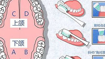 电动牙刷使用手册，看下是不是你要的干货！