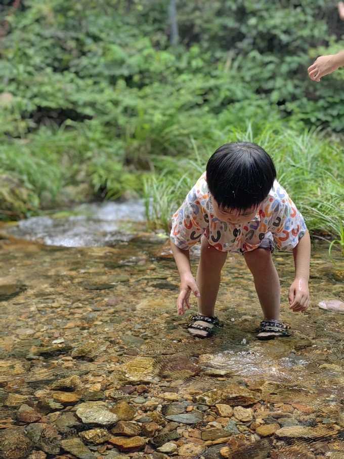 野营烧烤