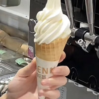口感冰凉味道甜美的冰淇淋