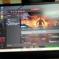 只狼影逝二度Steam离线正版单机电脑经典游戏