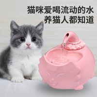 爱护小猫：为什么给猫咪买饮水机？