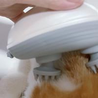 宠物类 篇十六：让猫咪舒服到哼哼的按摩器--关于铲屎官的爱