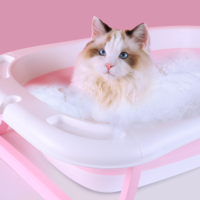 其他 篇三十六：折叠猫咪洗澡盆，成为贴心的铲屎官！