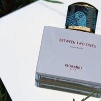 油润回甜的日式茶香丨Floraiku 暮林鴞影（两树之间）