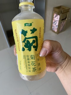 夏日菊花茶