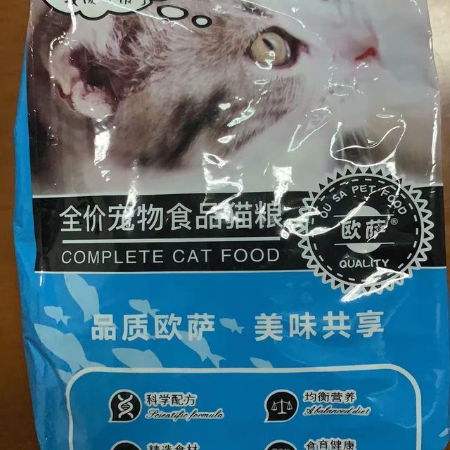 猫主子开饭了